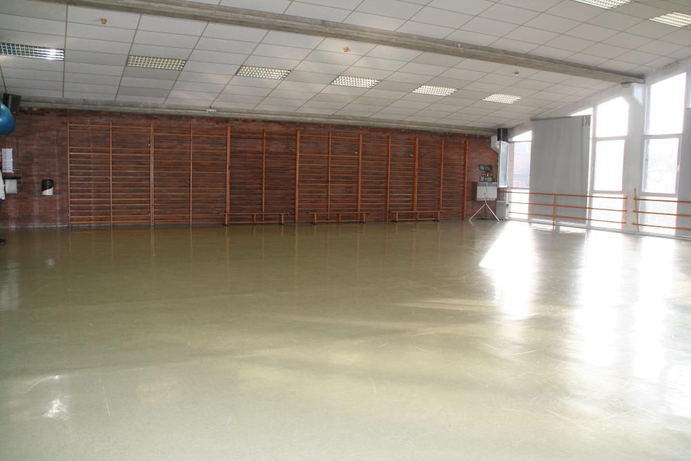 Imagen Erabilera anitzeko gimnasioa