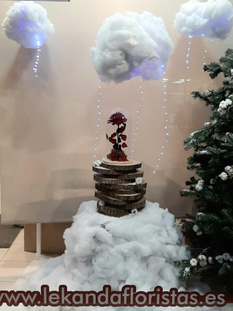 Imagen !LLEGA LA CAMPAÑA NAVIDENA!