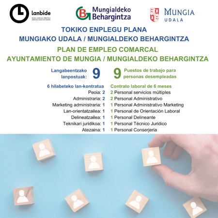 Irudia 2024 TOKIKO ENPLEGU PLANA - MUNGIA