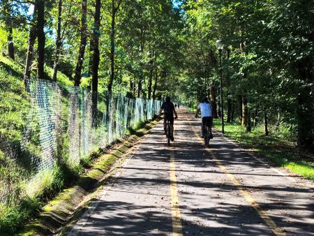 C. Goizeko ibilaldia