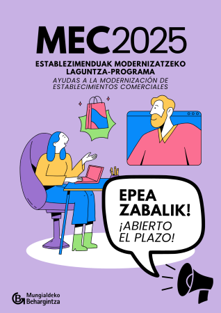 Irudia ESTABLEZIMENDUAK MODERNIZATZEKO LAGUNTZA-PROGRAMA (MEC 2025)