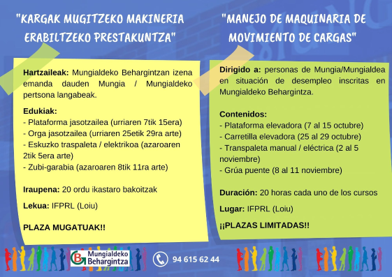 Imagen MUNGIALDEKO BEHARGINTZA - KARGAK MUGITZEKO MAKINERIA ERABILTZEKO PRESTAKUNTZA