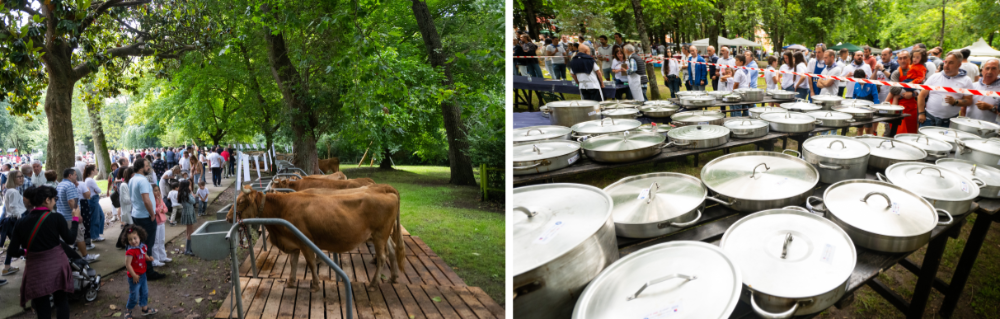 Imagen Abisuak: Baserritarren eguna eta Sukalki eguna