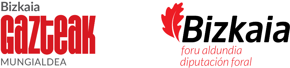 Irudia GAZTE EKINTZAILEEI ZUZENDUTAKO DIRU LAGUNTZAREN EBAZPENA