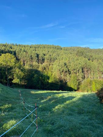 Imagen El proyecto de ampliación de la red de abastecimiento al barrio Emerando ya se encuentra en fase de licitación
