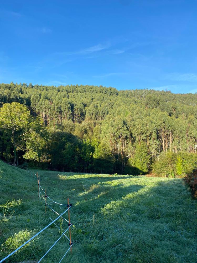 Imagen El proyecto de ampliación de la red de abastecimiento al barrio Emerando ya se encuentra en fase de licitación