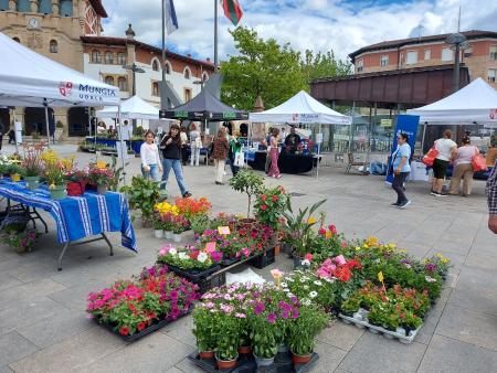 Irudia Mungiak XIX. Landare-Azoka (Autoktono, Apaingarri eta Paisaiakoak) ospatuko du apirilaren 18an