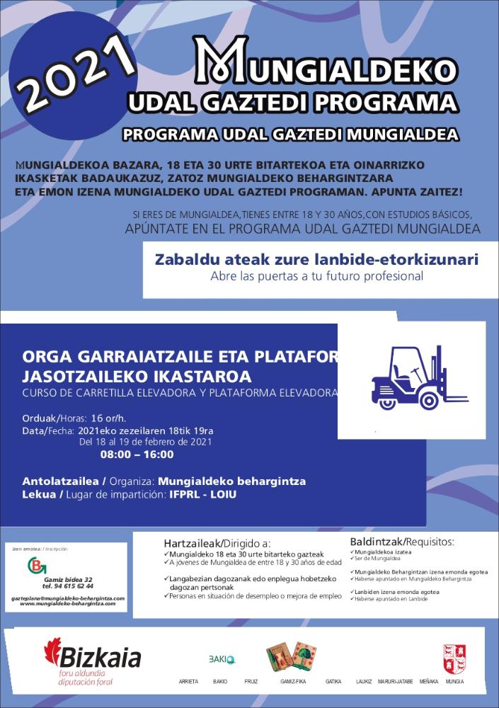 Imagen Cartel curso de plataforma